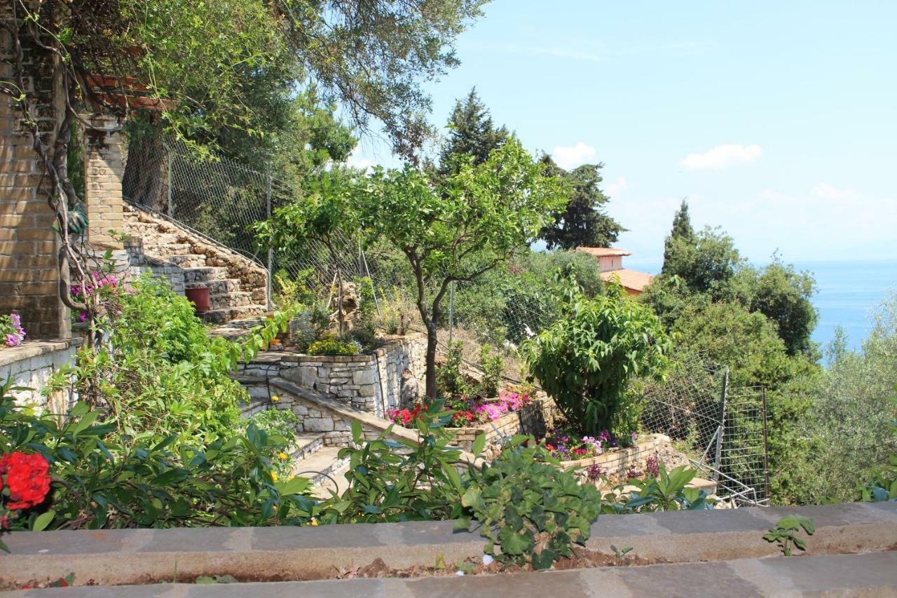 Aris Studio Corfu Pyrgi  Dış mekan fotoğraf
